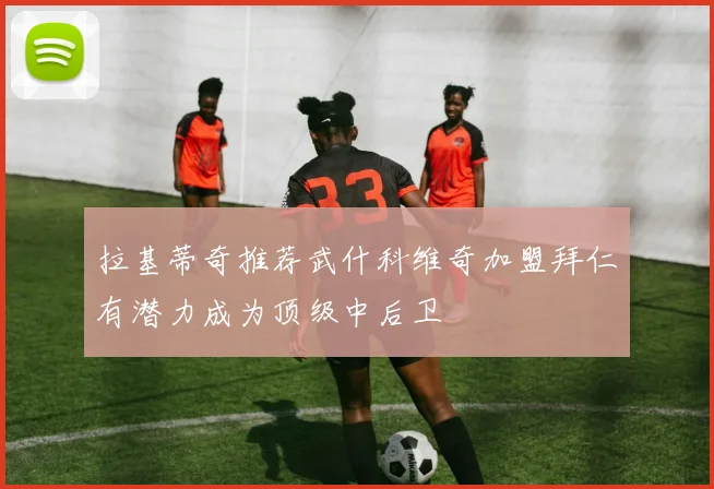 拉基蒂奇推荐武什科维奇加盟拜仁有潜力成为顶级中后卫