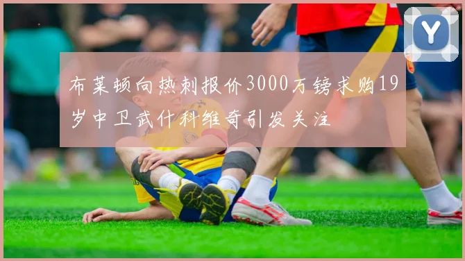 布莱顿向热刺报价3000万镑求购19岁中卫武什科维奇引发关注
